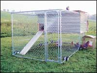 
A 16-wheel, chain-link movable coop. By Steve Bachochin, East Liberty, Ohio
